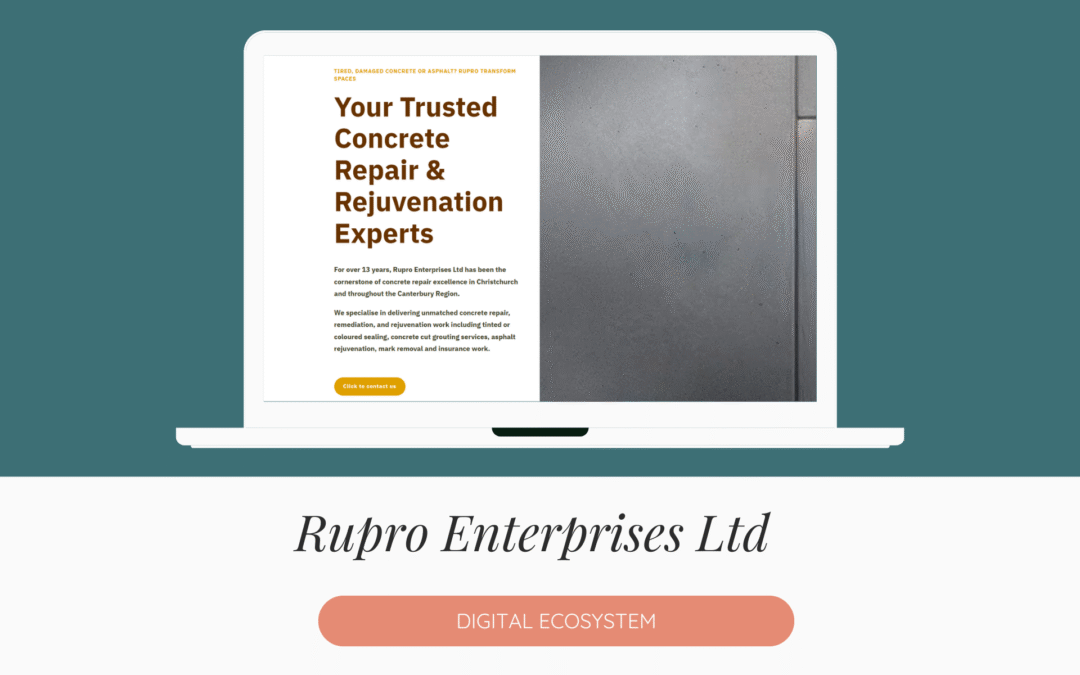 Rupro Enterprises Ltd – Digital Strategy