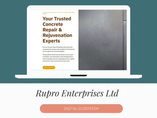 Rupro Enterprises Ltd – Digital Strategy
