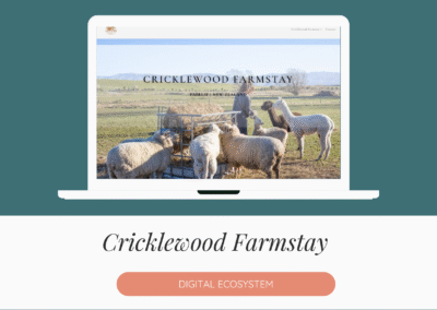 Cricklewood Farmstay – Digital Strategy