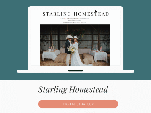 Starling Homestead – Digital Strategy